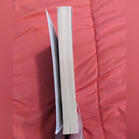 Book - The Shack - Picture 3 of 5